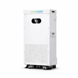 DYNESS PowerBrick Max 16.076kWh LV Lithium Battery(51.2V/314Ah) IP20